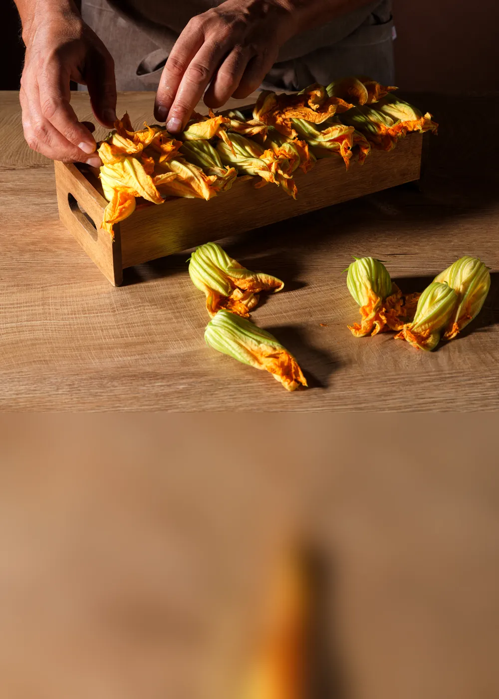 Fiori di zucca