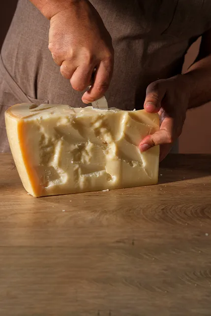 Parmigiano Reggiano DOP